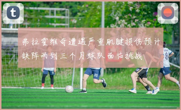 弗拉霍维奇遭遇严重肌腱损伤预计缺阵两到三个月球队面临挑战