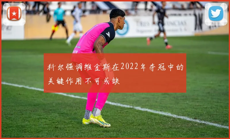 科尔强调维金斯在2022年夺冠中的关键作用不可或缺