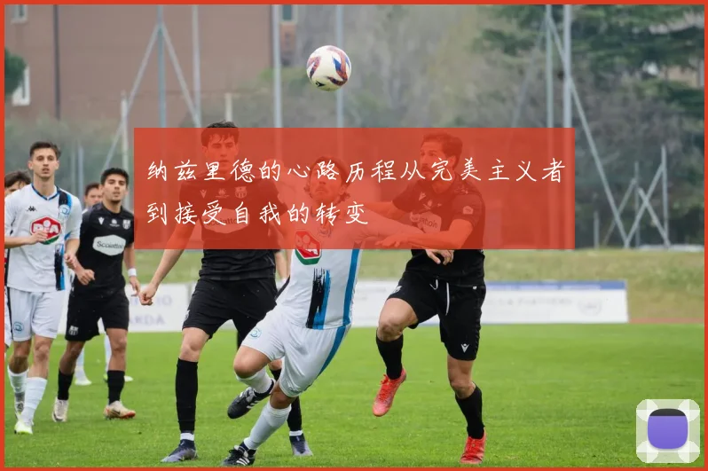 纳兹里德的心路历程从完美主义者到接受自我的转变