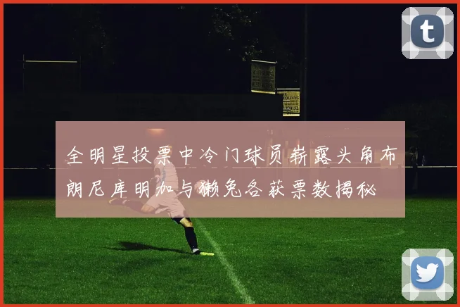 全明星投票中冷门球员崭露头角布朗尼库明加与獭兔各获票数揭秘