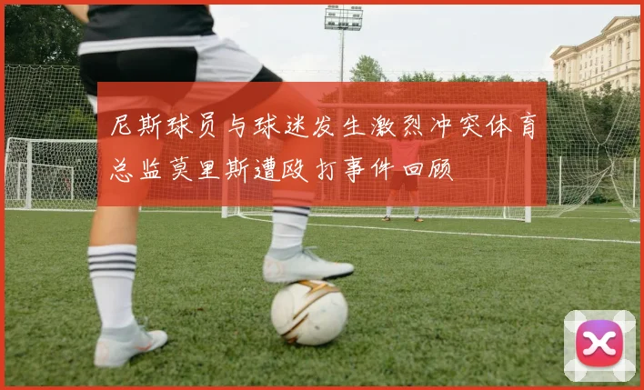 尼斯球员与球迷发生激烈冲突体育总监莫里斯遭殴打事件回顾