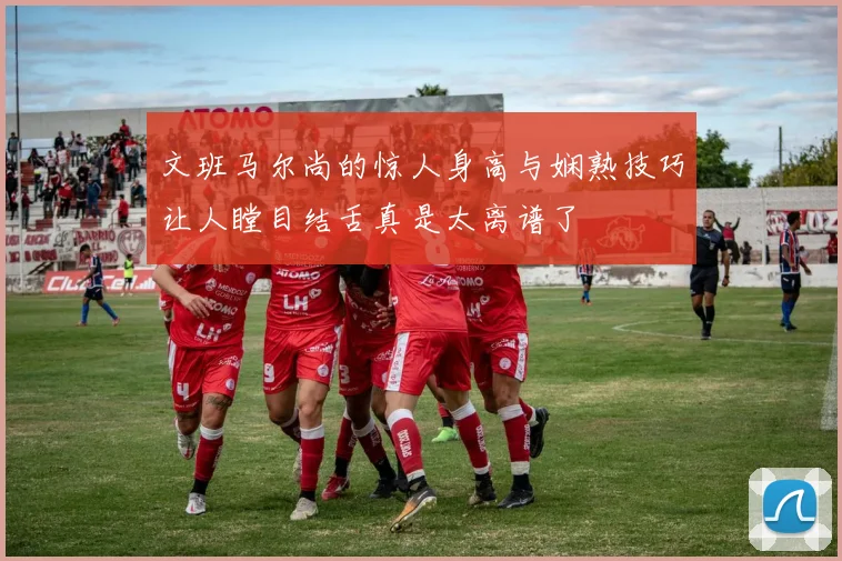 文班马尔尚的惊人身高与娴熟技巧让人瞠目结舌真是太离谱了