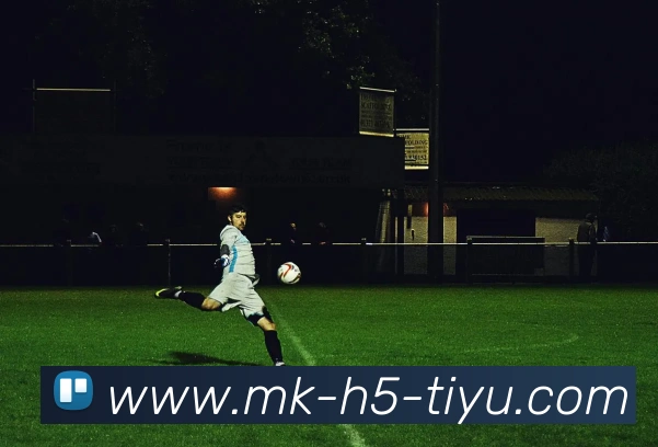 MK体育服务体系