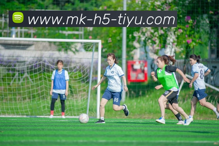 多媒体互动体验