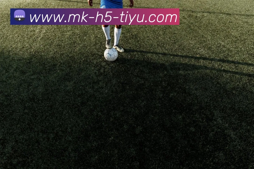 MK体育APP 体育赛事宣传图